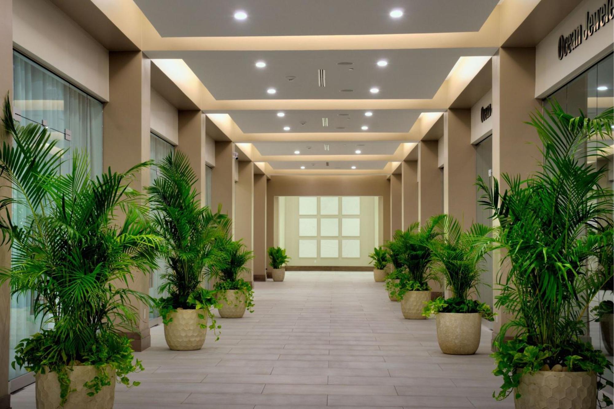 Jw Marriott St Maarten Beach Resort & Spa Dawn Beach エクステリア 写真